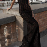Celine sequin lace dress